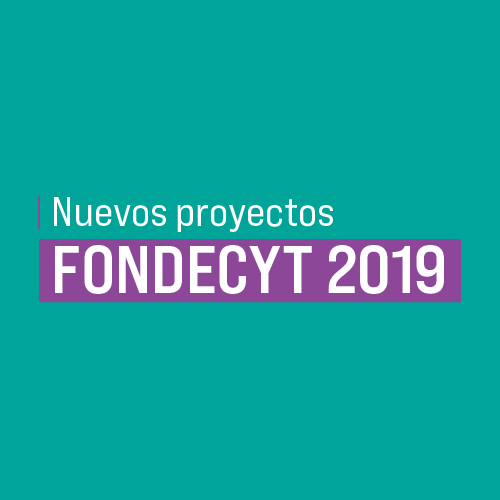 fondecyt 2019